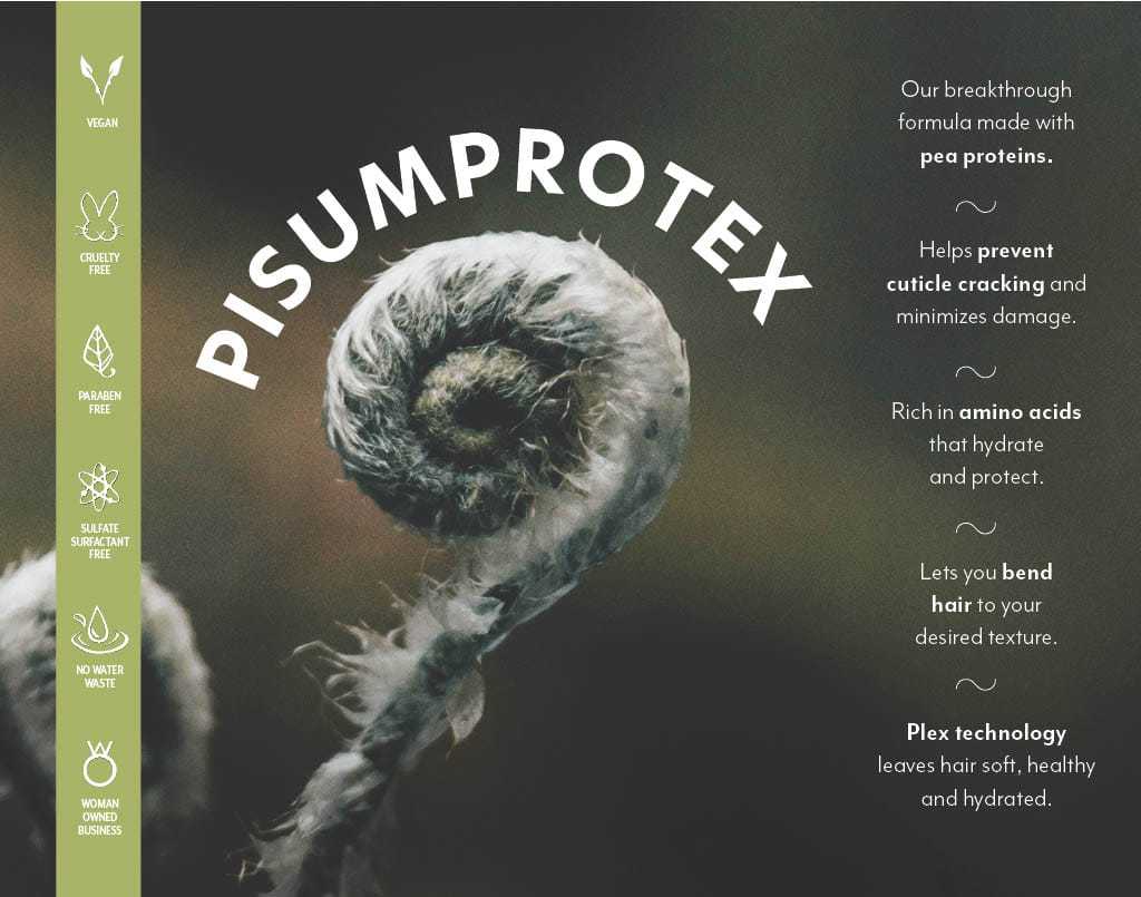 Fern spiral with product benefits text, emphasizing hair care and pea protein formula.